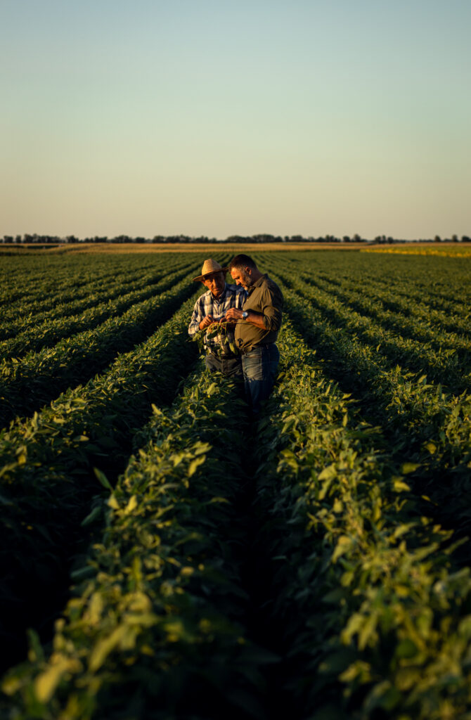 agrifodder non-gmo products distributors